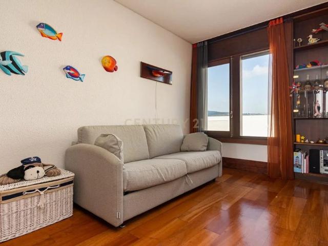 Rua do Lago, Carvalhal, Setúbal Municipality 7570 789