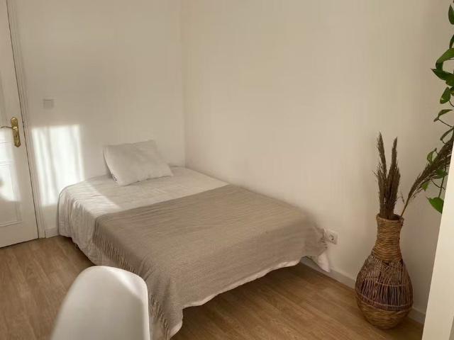 Rua Diogo Paiva Andrade, Almada, Setúbal Municipality 2800 061