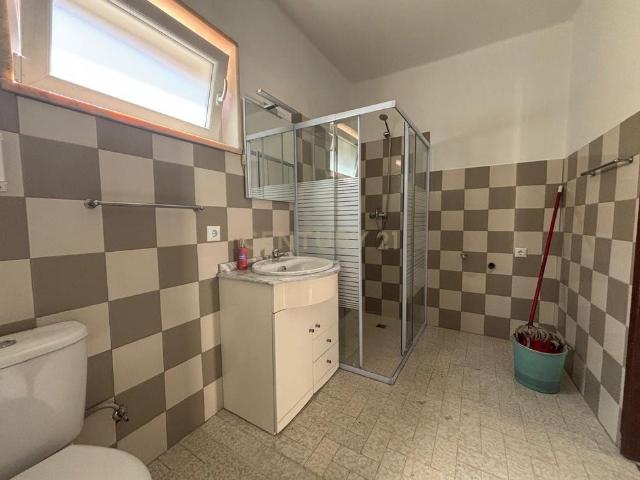 Rua Principal 187, Albergaria dos Doze, Portugal, Santiago de Litém, Leiria 3100 081