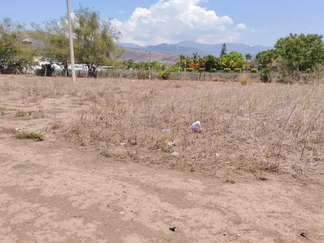 Rubén Michel Anguiano 3171212139 vende Terreno campestre al norte Autlán de Navarro