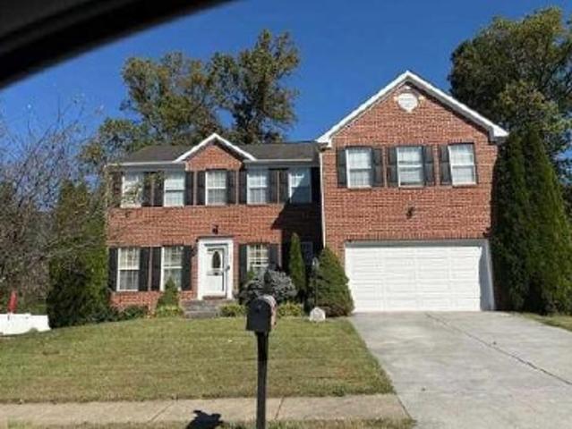 Rubens Cir
