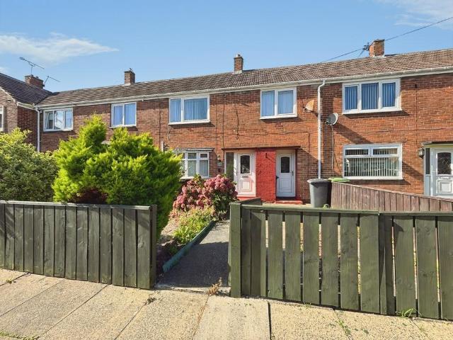 Rubens Avenue, South Shields, Tyne. 3 bed terraced house to rent £825 pcm £190 pw