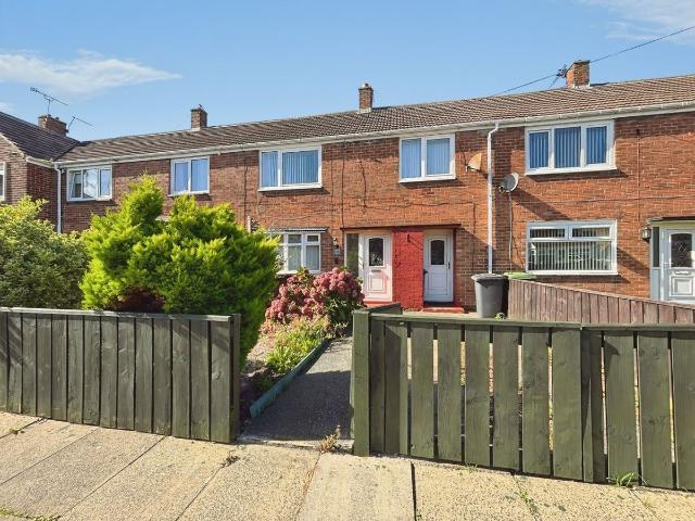 Rubens Avenue, South Shields, Tyne And Wear NE34, 3 bed terraced house to rent, £825 pcm | PrimeLocation
