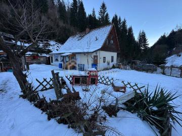 Proleb, Bezirk Leoben, Steiermark - Garten
