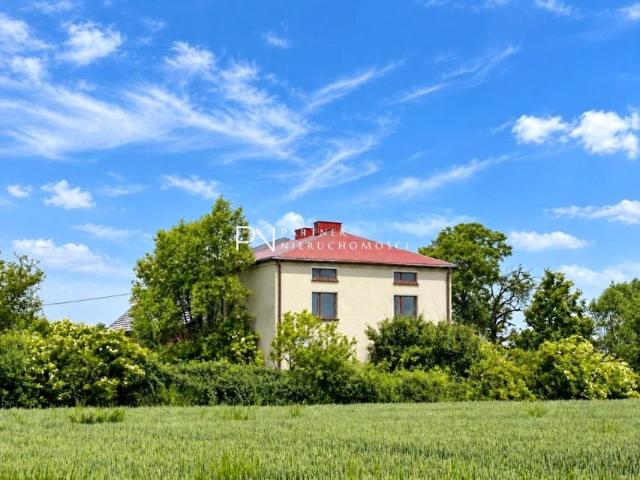Rudzka 3 060 m², Turze