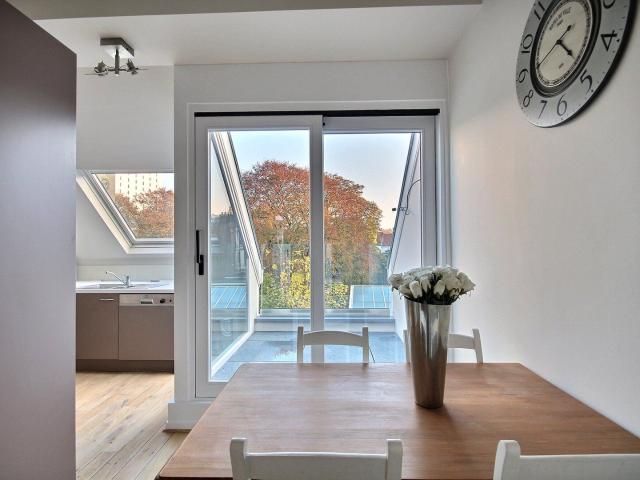 Rue aux Laines: Beautiful Duplex Penthouse with terrace