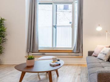 Mercier-hochelaga-maisonneuve, Montreal