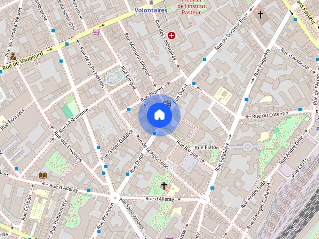 Rue Dutot, Paris