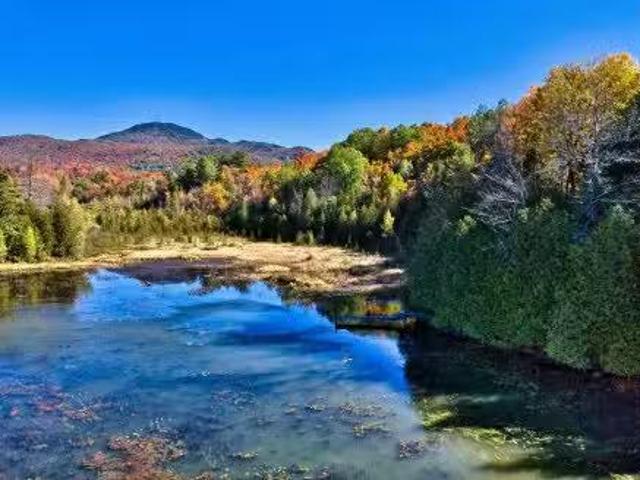 Rue Du Château, Eastman, QC, J0E 1P0 vacant land for sale L.