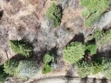 Rue Du Ruisseau, Arundel, QC, J0T 1A0 vacant land for sale.