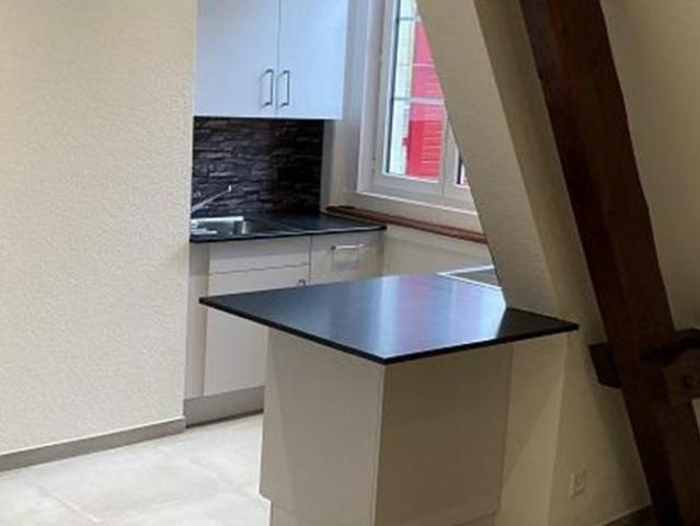 Rue Louis Agassiz 12 appartement 3ème étage Est
