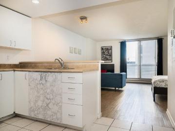 House to rent in Le Plateau Mont-Royal - Balcony