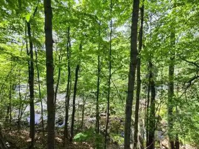 Rue Woodland, Brownsburg Chatham, QC, J8G 1B7 vacant land fo.