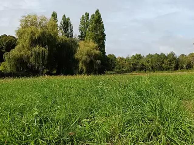 Ruffigné 44660 Programme neuf maison neuf à vendre 4 pièces