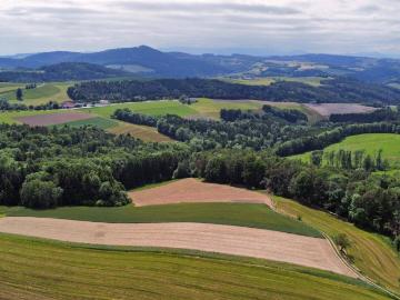 Besondere Großimmobilie mit vielfältigen Nutzungsmöglichkeiten im Herzen der Buckligen Welt