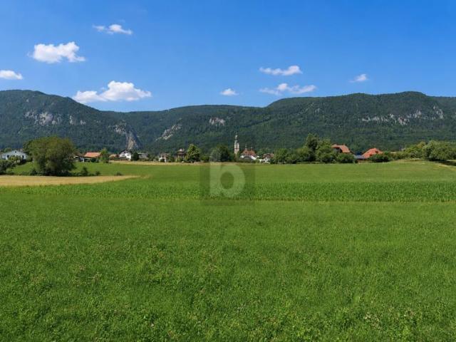 RUHEPOL MIT JURA UND ALPENPANORAMA