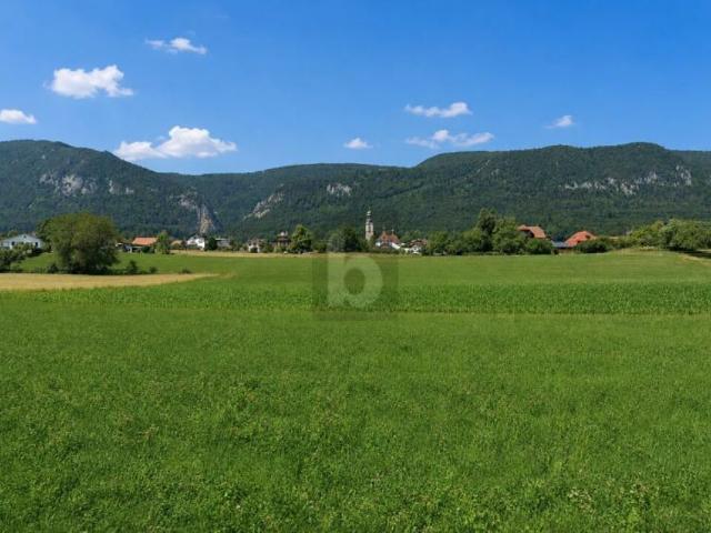 RUHEPOL MIT JURA UND ALPENPANORAMA