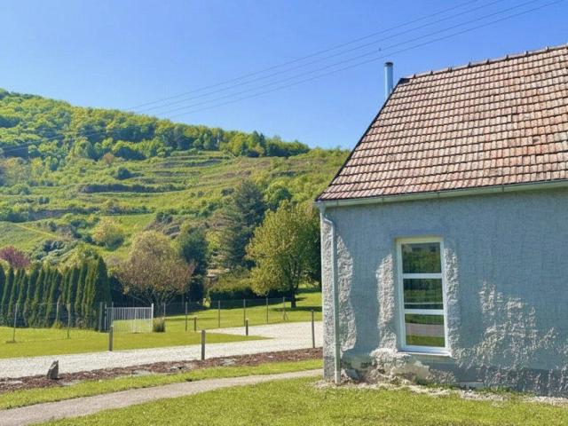 RUHEPOL im Grünen – Wohnen in Rehberg