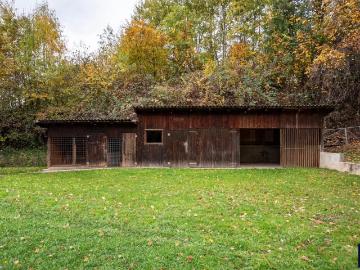 Wiesfleck, Gemeinde Wiesfleck, 7425 - Garten