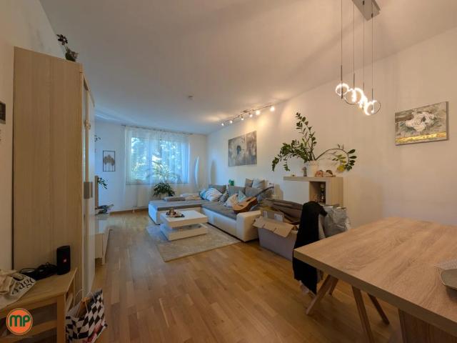 Ruhige 3 Zimmer Wohnung mit Loggia in Langenzersdorf