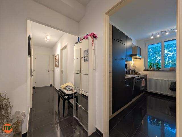 Ruhige 3 Zimmer Wohnung mit Loggia in Langenzersdorf