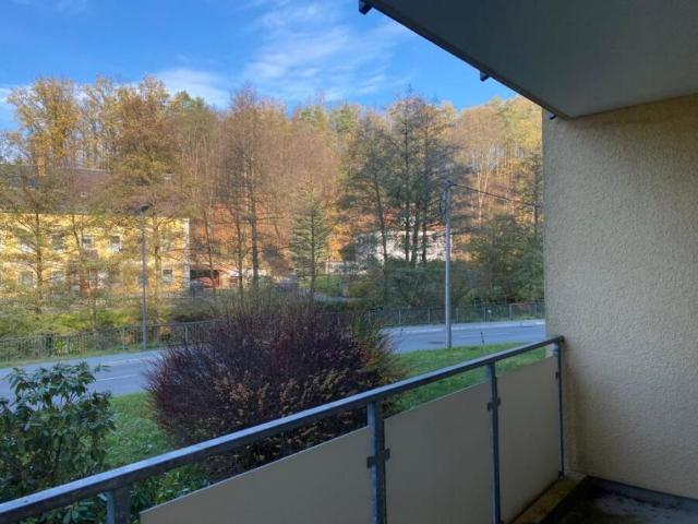 ruhige 3 Raumwohnung mit Balkon auf dem Land!