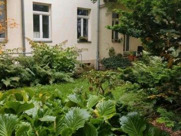 Ruhige 1 Zimmer Wohnung in der Neustadt