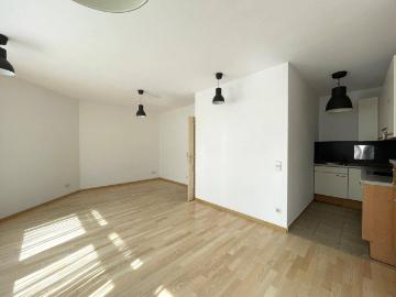 ruhige 1 Zimmer Wohnung Nähe Stadtzentrum Mödling