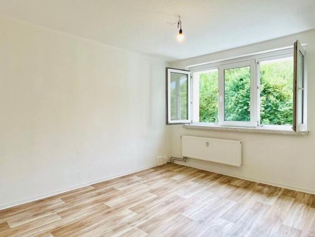 Ruhige 2 RWE in Zauckerode mit Naturblick!