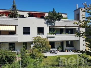 Friesenberg, Zürich, Kanton Zürich