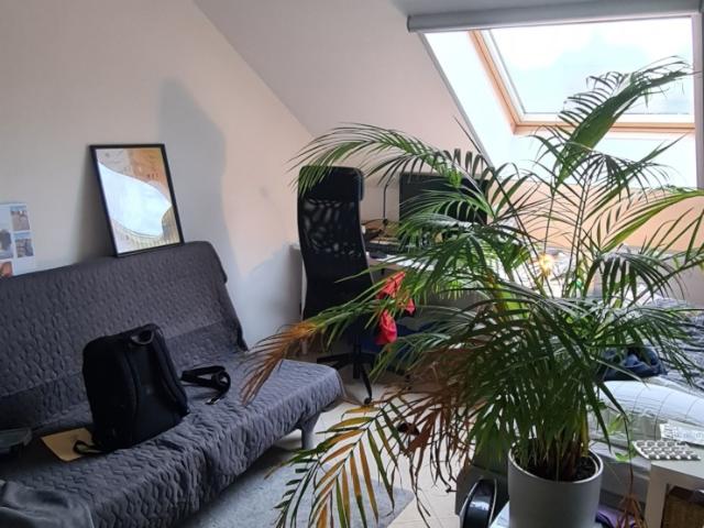 Ruhige 4 er WG im Frankfurt am Main