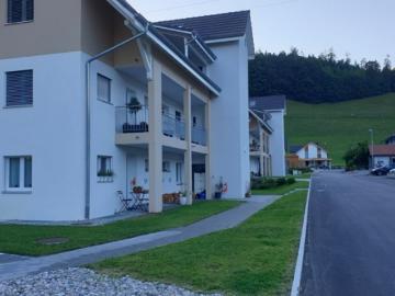 Ruhige Gartenwohnung im Grünen 3.5 Zimmer