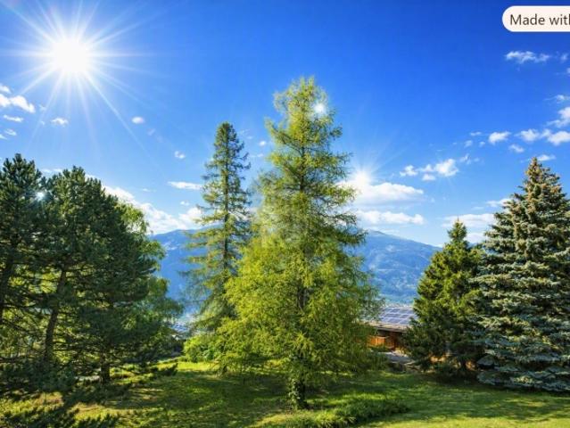 RUHIGE LAGE VON DER SONNE VERWÖHNT