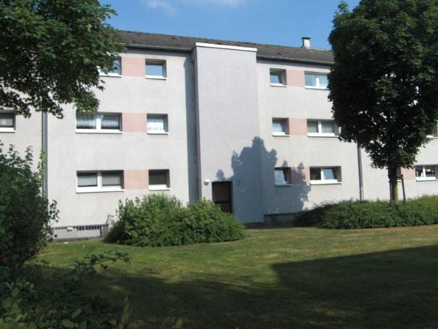 ruhige Mieter suchen nette Nachbarn