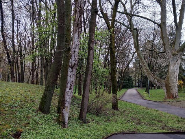 Ruhige Wohnung am Liesingbach im Park
