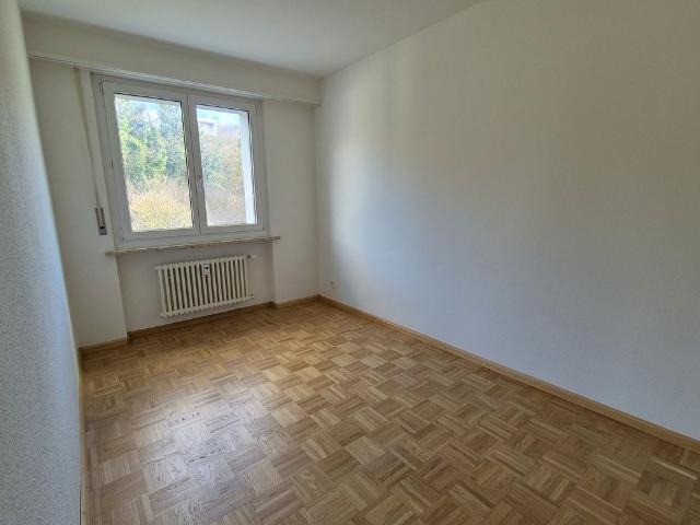 Ruhige Wohnung mit Weitblick über Dornach