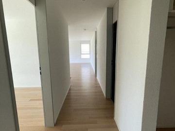 Ruhige und sonnige 3.5 Zimmer Wohnung in familienfreundlichem Quartier