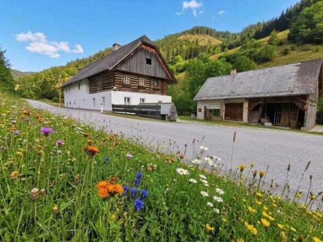 Ruhiges Zuhause mit Charakter und Nebengebäude provisionsfrei für die Käufer