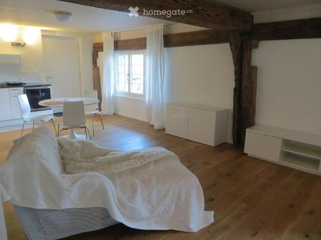 ruhiges 1.5 Zimmer Studio