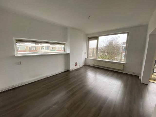 Ruigenhoek, 3085 EN Rotterdam
