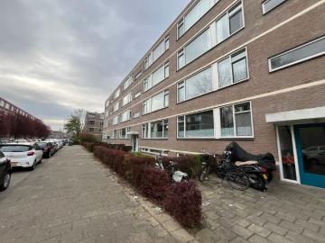 Reyeroord, Gemeente Rotterdam, Zuid-Holland