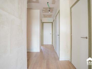 8800, Roeselare, Roulers, Flandre-Occidentale, Flandre