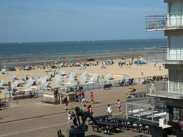 Ruim appartement met 1 slaapkamer in Koksijde