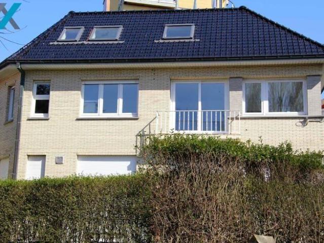 Ruim appartement met één slaapkamer in het centrum van De P