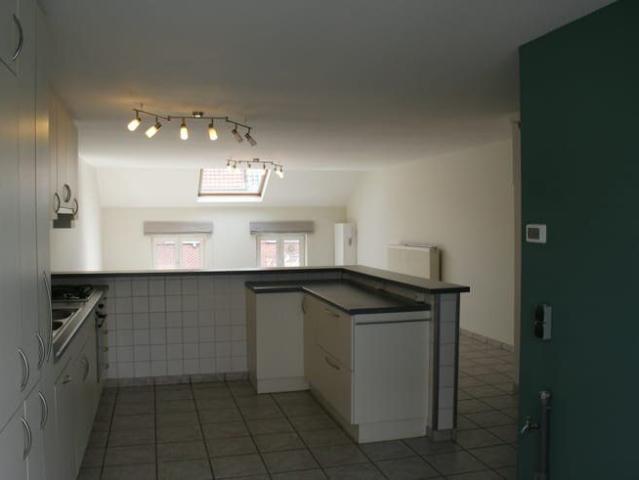 Ruim duplexappartement met terras