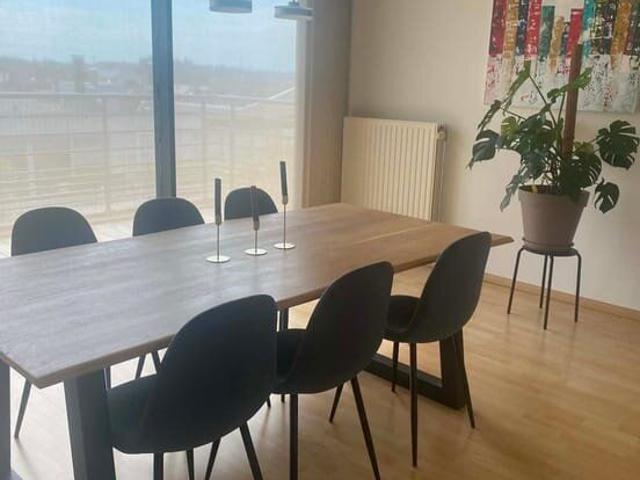 Ruim en centraal gelegen appartement met groot terras en.