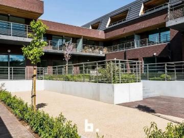 8890, Roeselare, Roulers, Flandre-Occidentale, Flandre