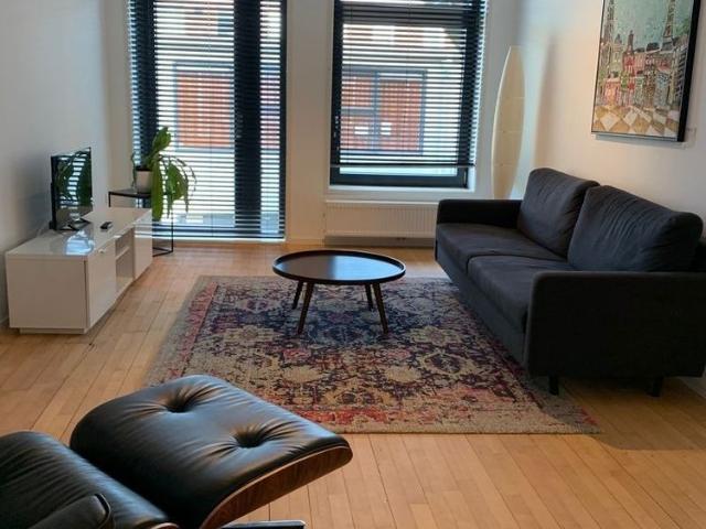 Ruim gemeubileerd appartement voor 2 jaar aan Boterdiep!, Groningen