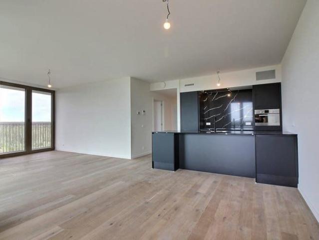 Ruim 2 kamerappartement met panoramisch zicht op toplocatie