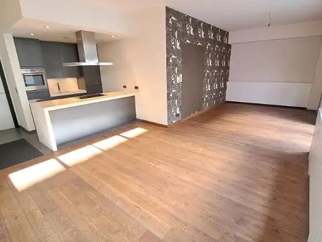 Ruim 2 slaapkamerappartement met ruim TERRAS te huur in Brugge